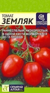 Томат Земляк/Сем Алт/цп 0,05 гр. Сибирская Селекция!