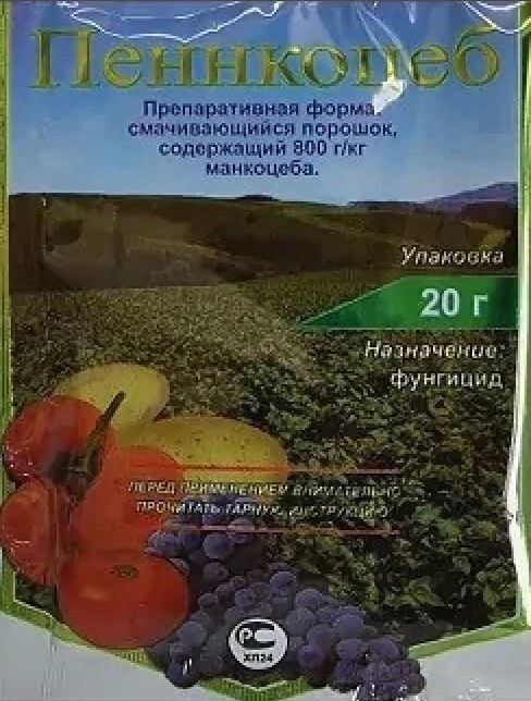 Пеннкоцеб, 20 г.