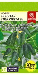 Огурец Ребята-Пикулята F1 / Семена Алтая / 5 шт.