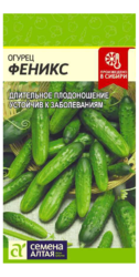 Огурец Феникс