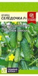 Огурец Селедочка F1, 5 шт.