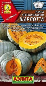 Тыква Шарлотта, 2г.