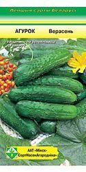 Огурец Верасень 0,8 г.