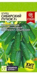 Огурец Сибирский Пучок F1 (5 шт)