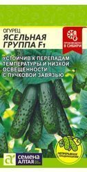 Огурец Ясельная Группа F1 5шт