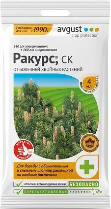 ракурс