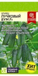 Огурец Пучковый Бум F1 / Семена Алтая / 5 шт.