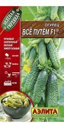 Огурец Все путем F1 0,25 г.