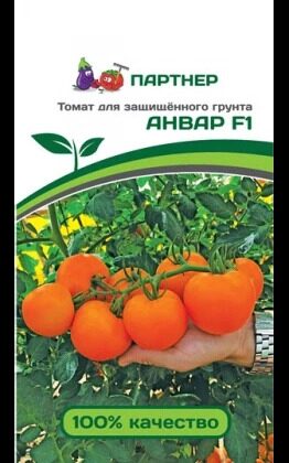 ТОМАТ АНВАР F1 5 шт. (Партнер) ТОМАТ АНВАР F1 5 шт. (Партнер)