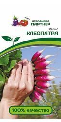 РЕДИС КЛЕОПАТРА 2 г. РЕДИС КЛЕОПАТРА 2 г.